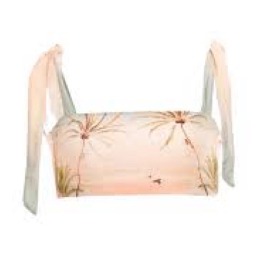 IN SEARCH OF AGUA BENDITA SUSAN ALDEA CROP TOP